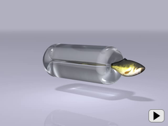 paper/2012-invertible/fish-tube-1-2x.mov